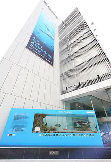 日本索尼:营业赤字高达2600亿日元(图)