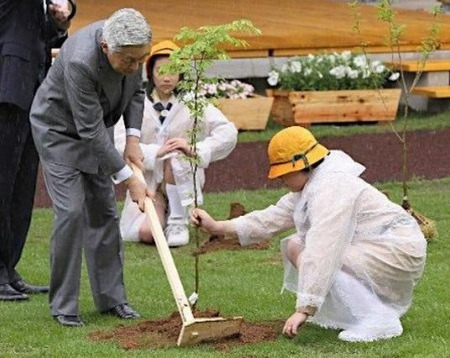 日本天皇夫妇参加全国植树节(组图)
