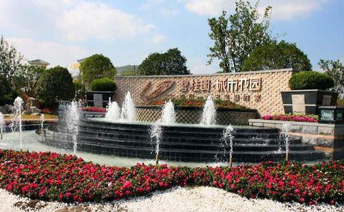 碧桂园城市花园火爆开盘 近万人共奏楼市最强