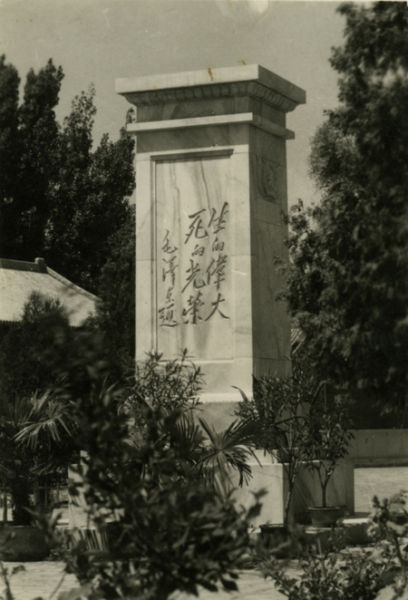 ë��ϯΪ���������