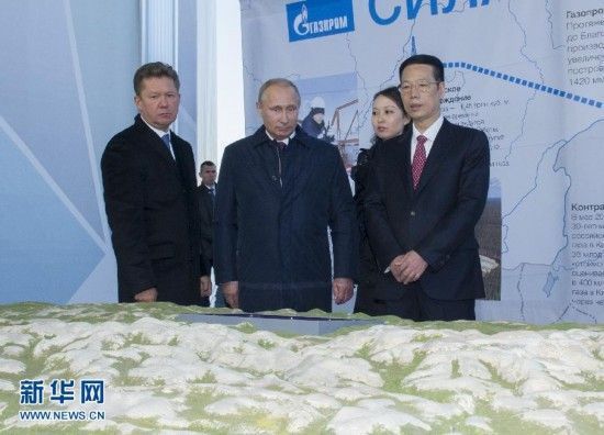 张高丽会见俄罗斯总统普京并共同出席中俄东线天然气管道俄境内段开工仪式 资料图