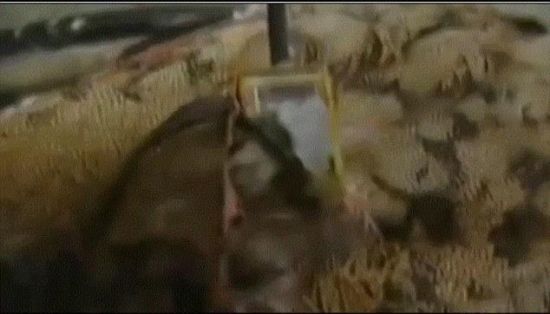 警方发现的疑似GPS跟踪器(图片来源:《每日邮报》)