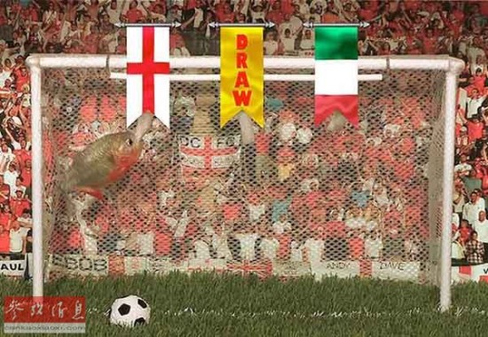 外媒:动物忙预测世界杯冠军 章鱼恐无传人