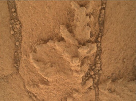 外媒:13岁少女或成登火星第一人无惧一去不返