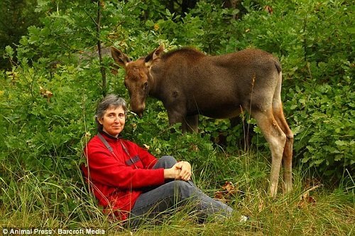 ��ʧ��60�곤������Ѫ����ʲ�׶�������������