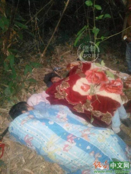 外媒：缅军去年释放逾400娃娃兵被征作人体探雷