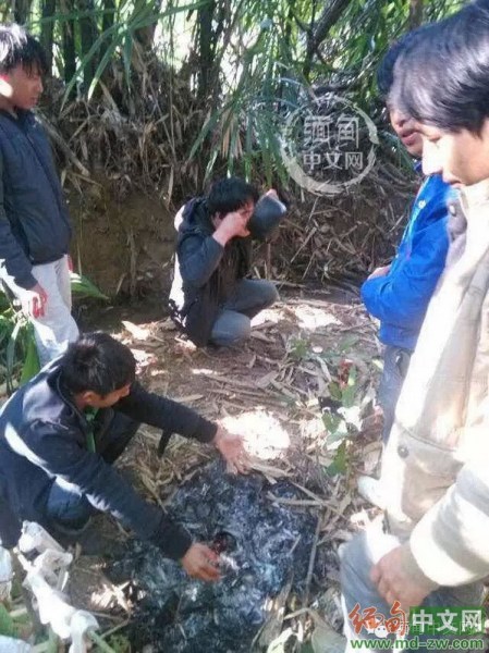 外媒：缅军去年释放逾400娃娃兵被征作人体探雷