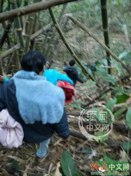 外媒：缅军去年释放逾400娃娃兵被征作人体探雷