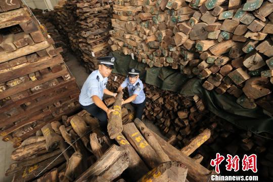 英报：中国富人对红木狂热需求助长非法木材贸易