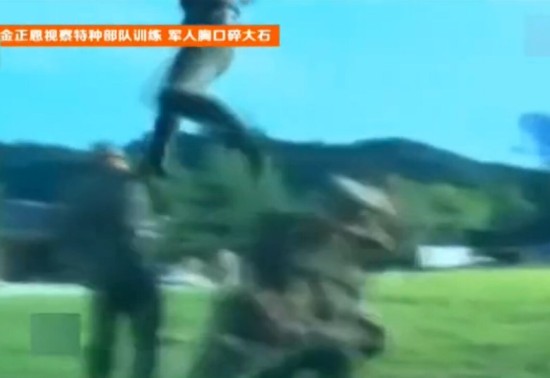 这只是个简单戏法:揭开武术师劈砖断木的科学真相