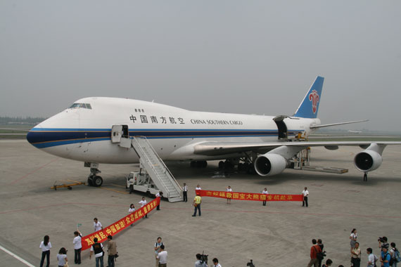 图文：南航747货机等待运送熊猫
