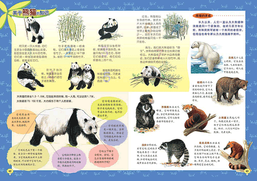 熊猫(5)
