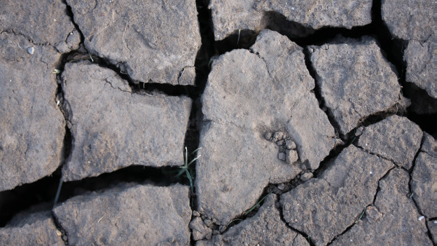 Dry, cracked earth in the US