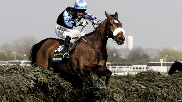 Race horse jumps over fence