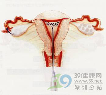 <em>御姐受精动态图</em>_<em>御姐萝莉受精</em>_动漫御姐邪恶