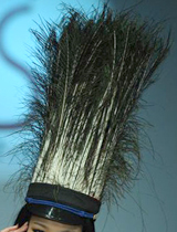 ���ʵĿ�ȸñ