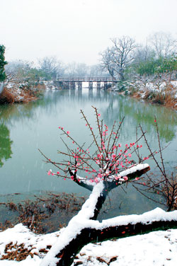 江南水乡