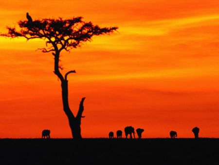 一生至少去一次肯尼亚