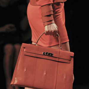 2011ִ Birkin Bag»