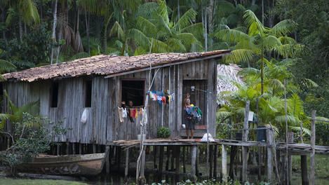 亚马逊森林中的小木屋