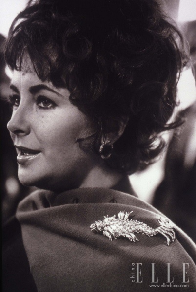 ɯס̩(Elizabeth Taylor)ܽả