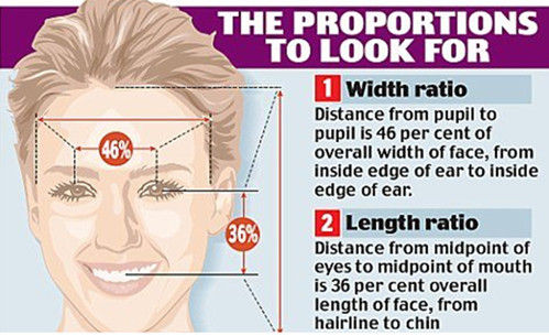 "美人脸"的脸部器官分布比例图
