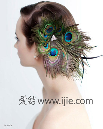 ��ɫ����