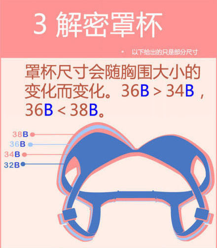 满城Bra皆BC 关于<em>罩杯</em>那点事儿_新浪女性_