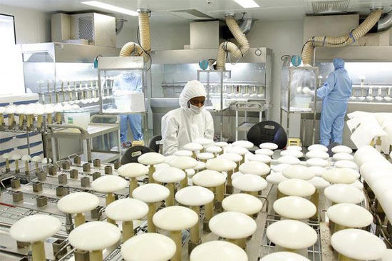 乳房假体生产过程 大小各异造完美曲线