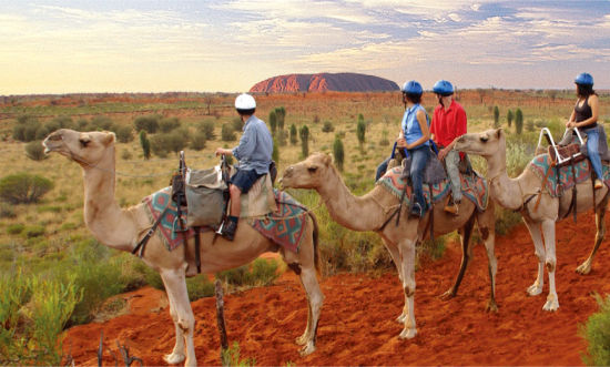 骑着骆驼去看澳大利亚的心脏乌鲁鲁