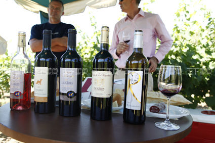 朗格多克是法国葡萄酒的10 大产区之一