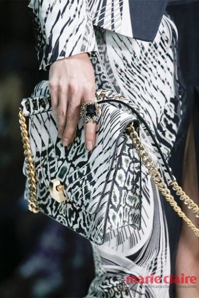 Roberto Cavalli 2013ϵ