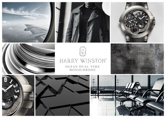 Harry Winston ˹ Ocean ʱ䵥ɫ