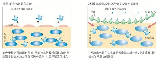 orbis独创无油保水膜配方