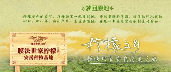 膜法世家上市新品 柠檬鲜萃芬芳来临|膜法世家