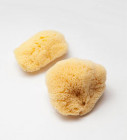  Zhuang Nengzi/SONOKO natural sponge