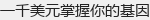 һǧ��Ԫ������Ļ���