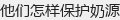 他们怎样保护奶源