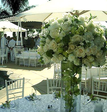 ���⻨������ɫ+��ɫ������ˬ��