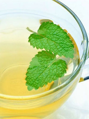 薄荷快速减肥餐 10天瘦7斤