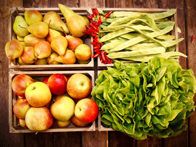 减肥食谱第二日