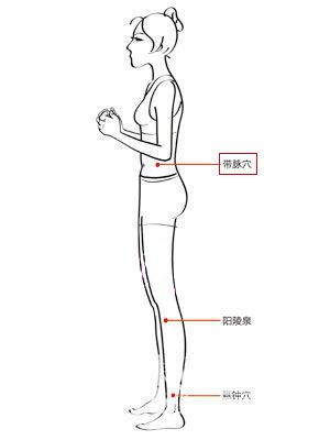 带脉穴-敲击甩掉"游泳圈"