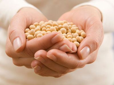 大豆食品对乳房健康大有裨益