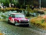 Mini in race