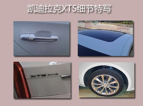 XTS(ͼƬͨ)