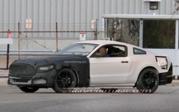 2015��ȫ�¸���Ұ�����Ե����ع�
