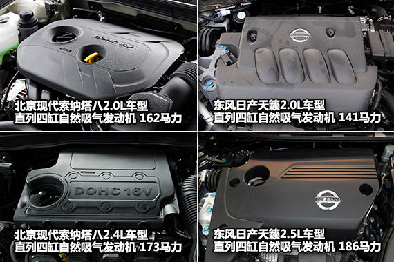 �����������Ա�