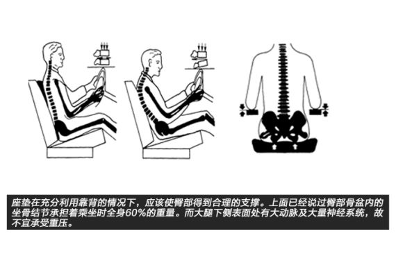 座墊 寬大是必要的 舒適是相對的