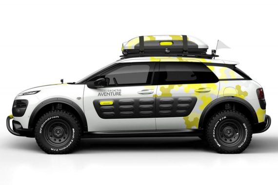 C4 Cactus