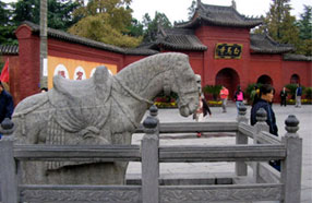 �������� ����ǧ�꣺���������Ŷ�֮��